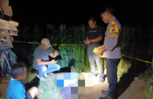 Kakek di Sambit Ponorogo Ditemukan Meninggal di Ladang Jagung