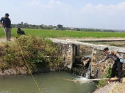 Bocah 11 Tahun di Sambit Ponorogo Meninggal Tenggelam di Dam Sungai