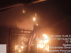 Kandang di Ngabar Ponorogo Terbakar, 20 Kambing Mbah Sumijem Selamat