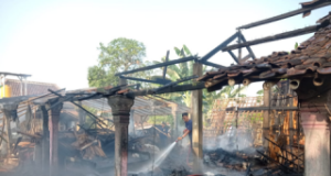 Lalai Bakar Sampah, Kandang di Serangan Sukorejo Ponorogo Dilalap Si Jago Merah
