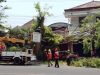 Semangat Sumpah Pemuda, PLN ULP Ponorogo dan DLH Bersinergi Pangkas Pohon Rawan Bahaya