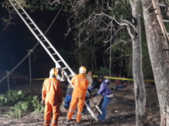 Warga Prajegan Ponorogo Ditemukan Meninggal di Atas Pohon Trembesi