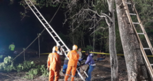 Warga Prajegan Ponorogo Ditemukan Meninggal di Atas Pohon Trembesi