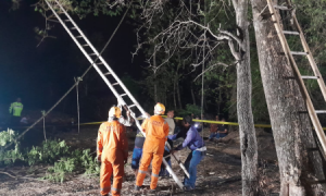 Warga Prajegan Ponorogo Ditemukan Meninggal di Atas Pohon Trembesi